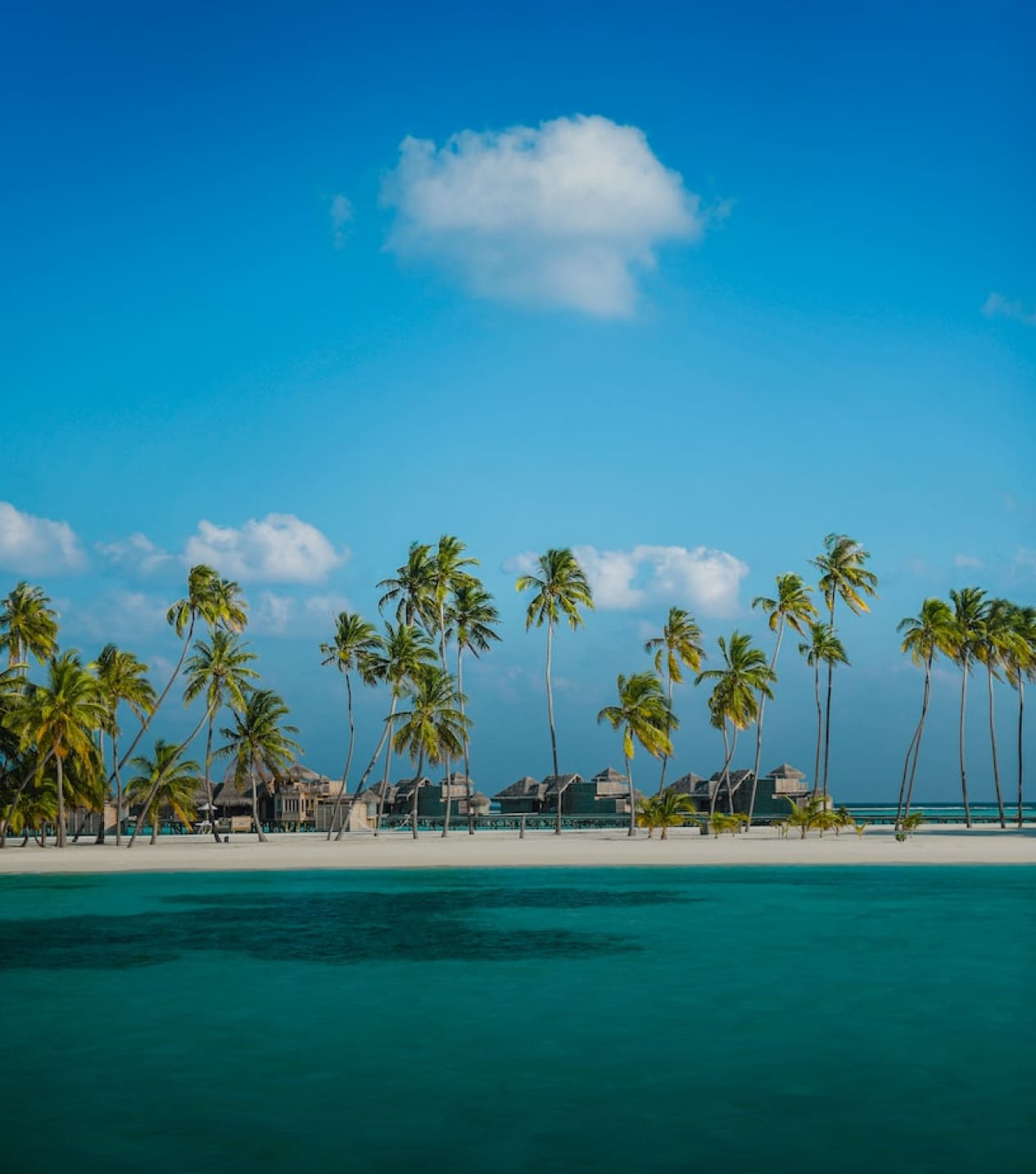 Tropical coast at Gili Trawangan
